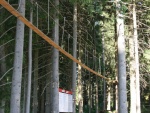 Monkey park Harrachov - Bobov drha + Monkey park (foto 8)