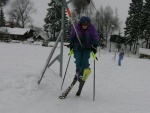 Skiarel aldoland (foto 2)